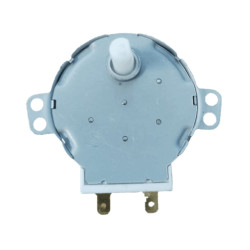 MOTOR GIRAPLATO 220v