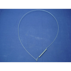 BRIDA FUELLE C.M.(CUBA)