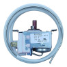 TERMOSTATO ROBERTASHAW T/R.SW.RC 24522 2 PEABODY